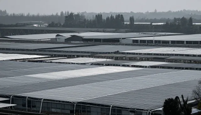 核对清单：工商查询服务使用中的资源管理要点