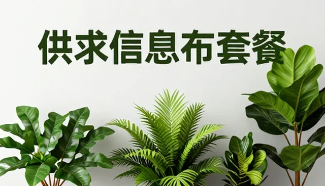工商查询服务在信息透明中的实际应用与性能考量